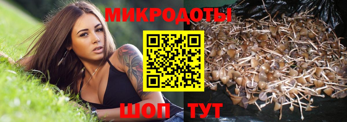 Псилоцибиновые грибы прущие грибы  Псилоцибиновые грибы мухоморы  Вход с VPN  Ивантеевка 